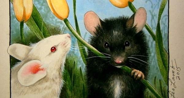 3 tuoi den nhat quy mao 2023 dung dau cung mat tien cua na khong canh ma bay 224606