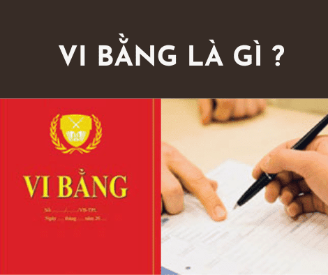 vi bang ttn