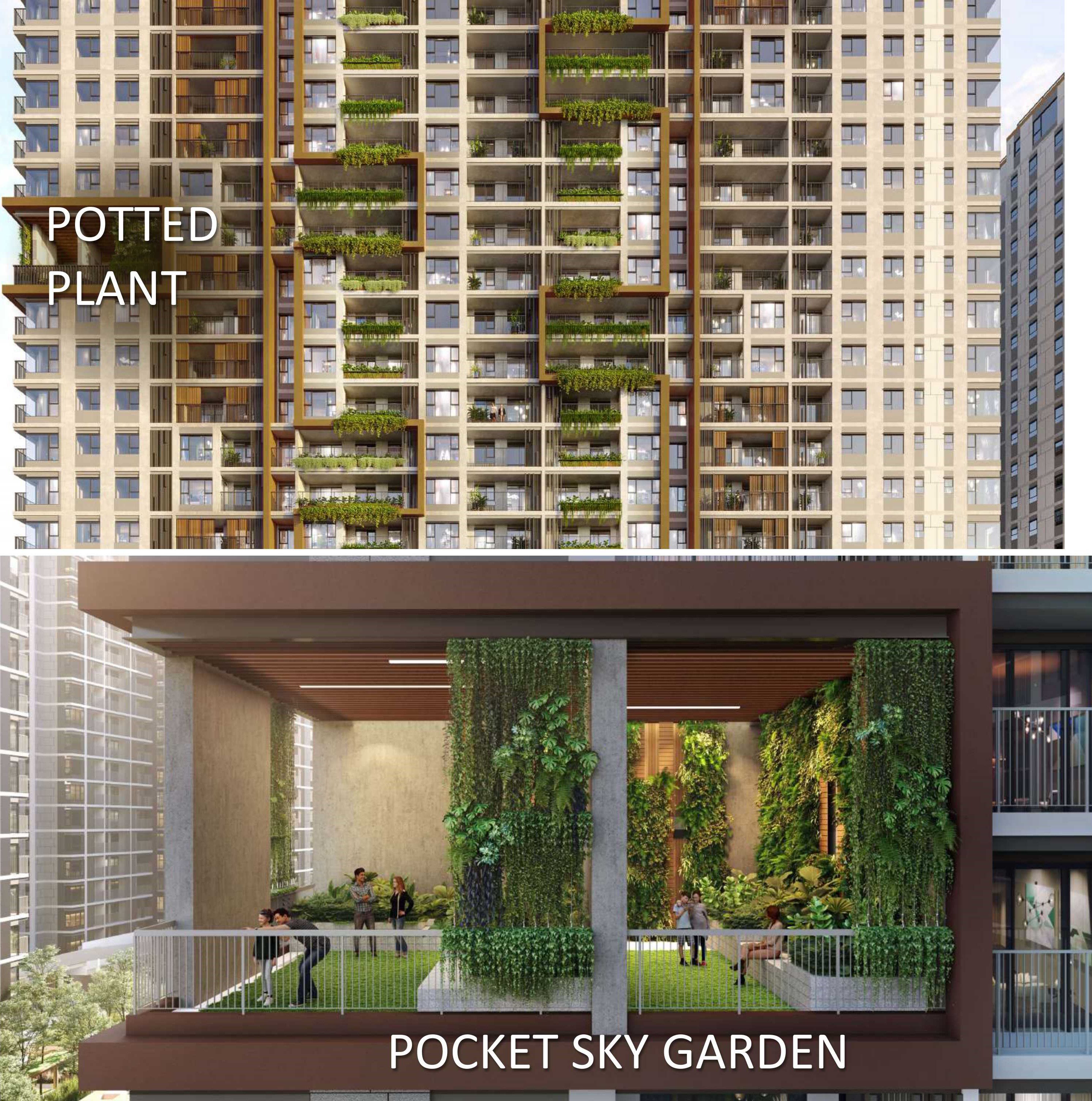 Elysian Thủ Đức ELysian Chia sẻ không gian kết nối cộng đồng theo từng cụm nhỏ trong vườn treo Pocket Sky Garden và vườn thượng Sky Garden