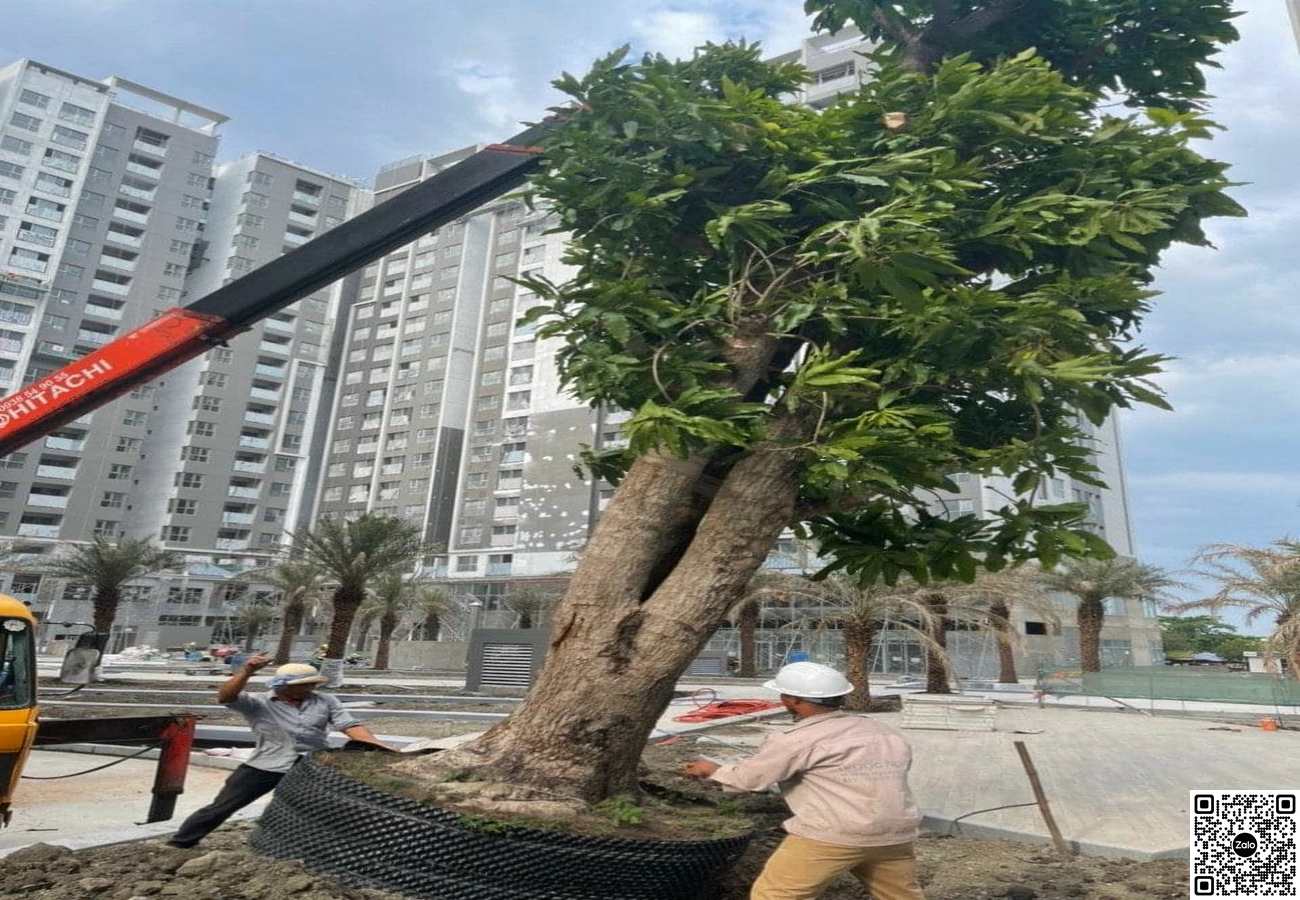 Hệ thống tiện ích cây xanh ở dự án West Gate